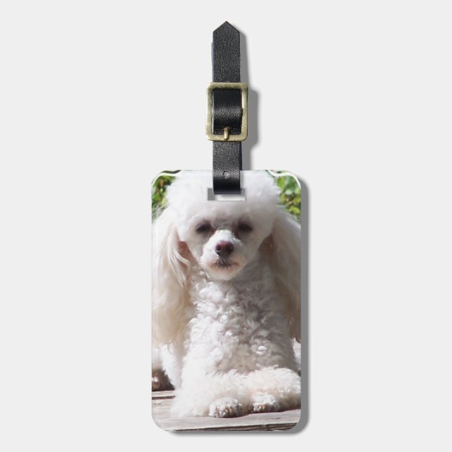 Customize Product Luggage Tag (Front Vertical)