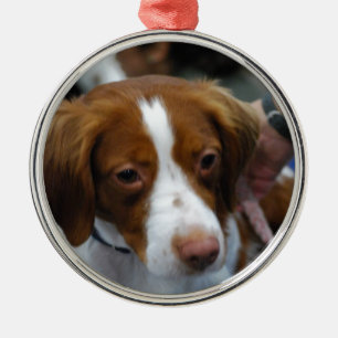 Customize Product Metal Ornament