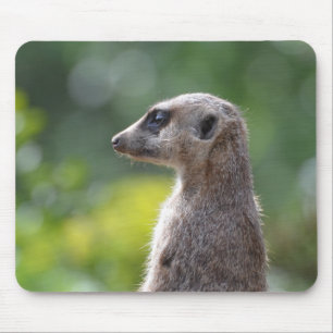 Customize Product Mouse Pad