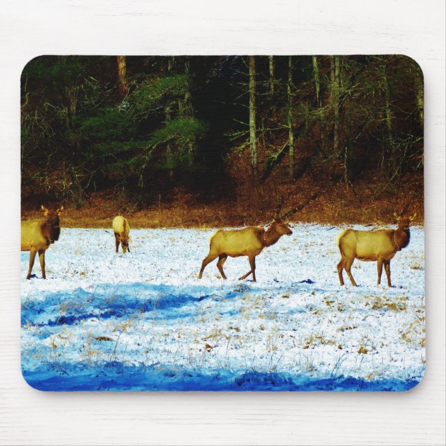 Customize Product Mouse Pad (Front)