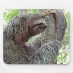 Customize Product Mouse Pad