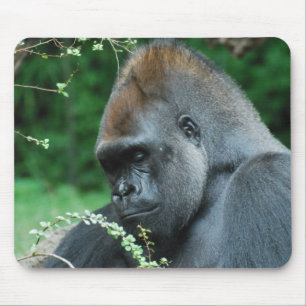 Customize Product Mouse Pad