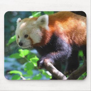 Customize Product Mouse Pad