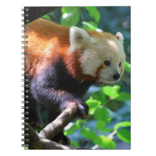 Customize Product Notebook