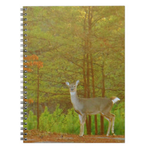 Customize Product Notebook