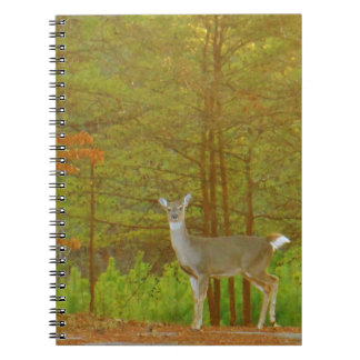 Customize Product Notebook