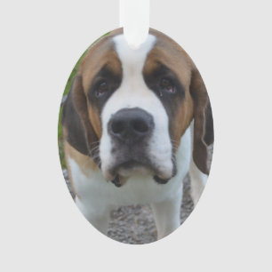 Customize Product Ornament