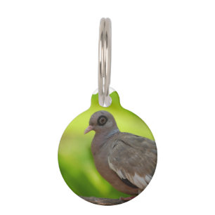 Customize Product Pet Tag