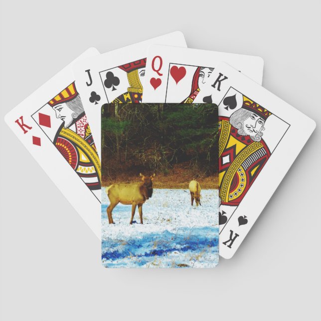 Customize Product Playing Cards (Back)