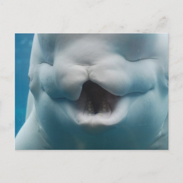 Customize Product Postcard (Front)