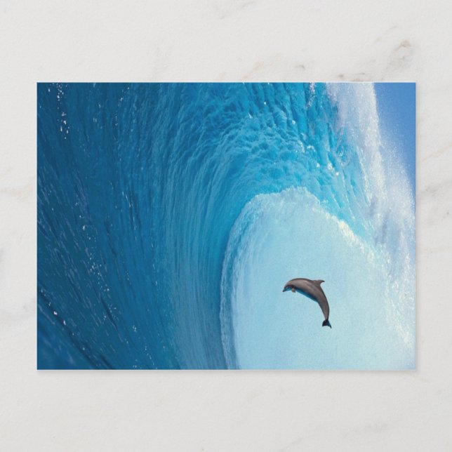 Customize Product Postcard (Front)