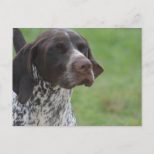 Customize Product Postcard