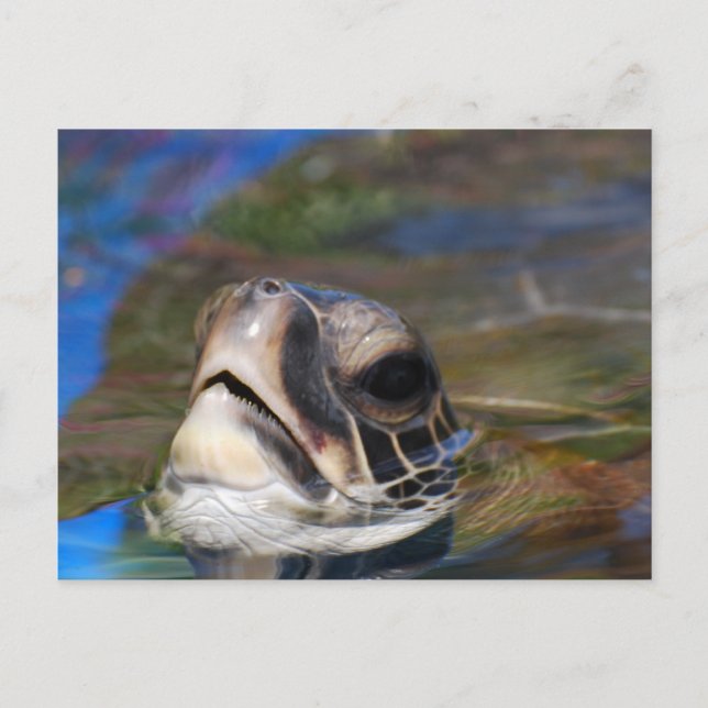 Customize Product Postcard (Front)