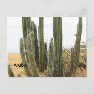 Customize Product Postcard