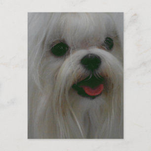 Customize Product Postcard