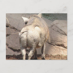 Customize Product Postcard