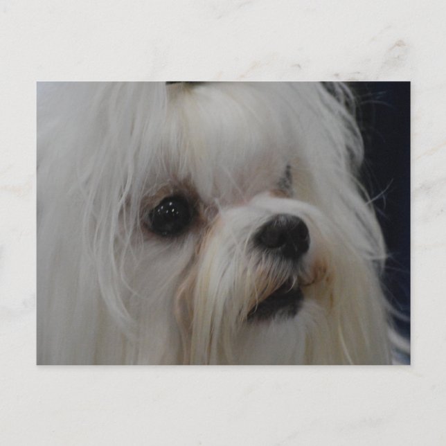 Customize Product Postcard (Front)