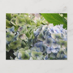 Customize Product Postcard