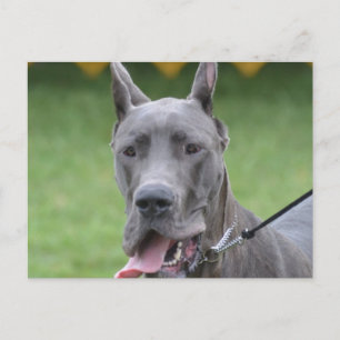 Customize Product Postcard