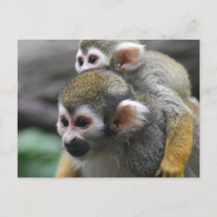 Customize Product Postcard