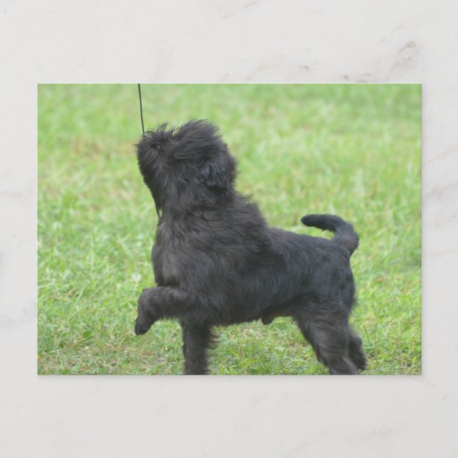 Customize Product Postcard (Front)