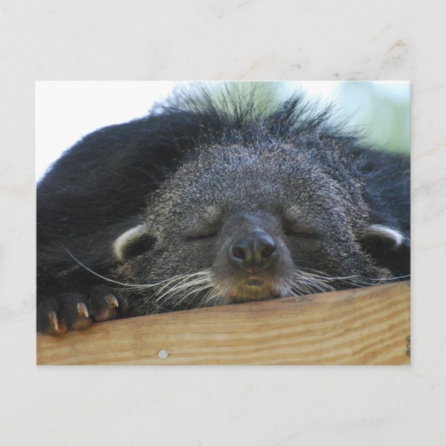 Customize Product Postcard (Front)