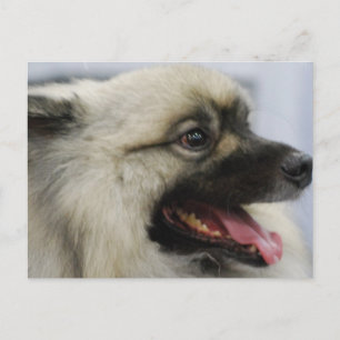 Customize Product Postcard