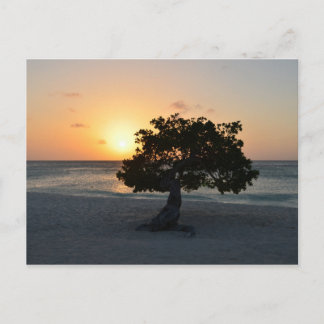 Customize Product Postcard