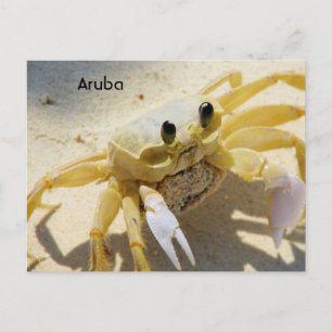 Customize Product Postcard