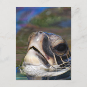 Customize Product Postcard