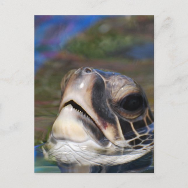 Customize Product Postcard (Front)