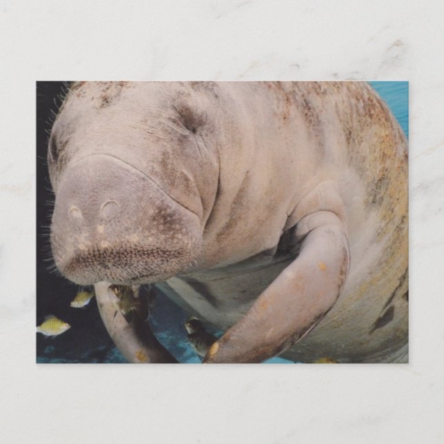 Customize Product Postcard (Front)