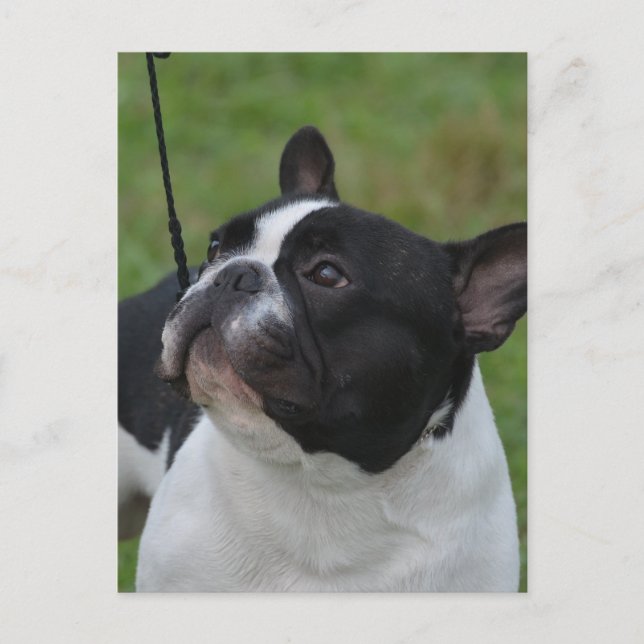 Customize Product Postcard (Front)