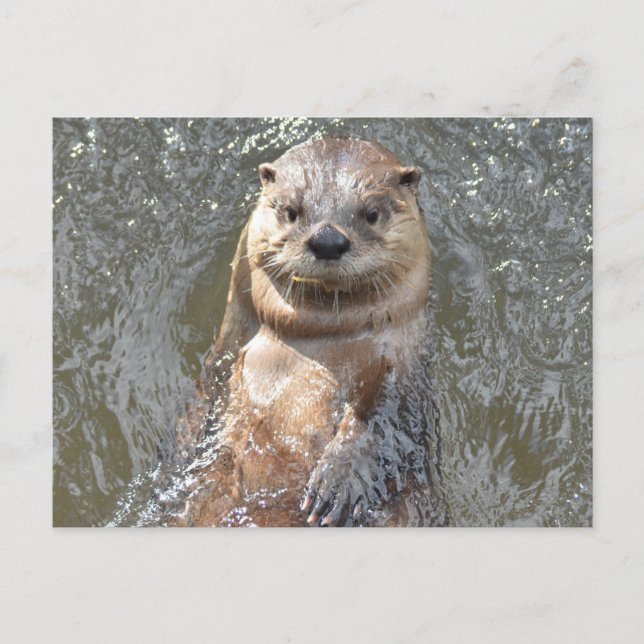 Customize Product Postcard (Front)