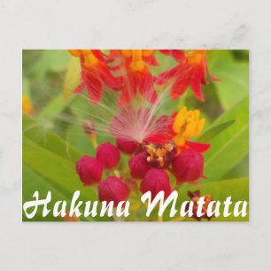 Customize Product Postcard
