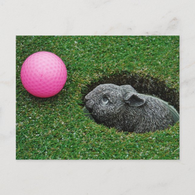 Customize Product Postcard (Front)