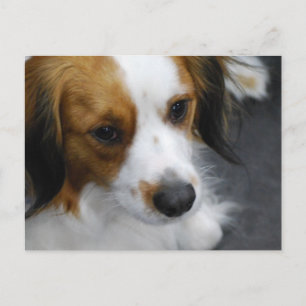 Customize Product Postcard