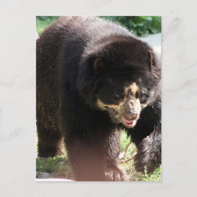 Customize Product Postcard (Front)