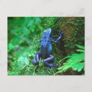 Customize Product Postcard