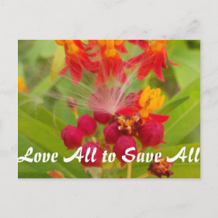 Customize Product Postcard