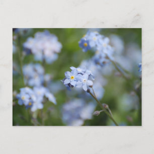 Customize Product Postcard