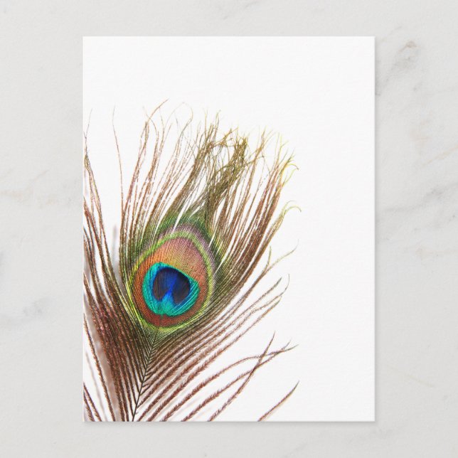 Customize Product Postcard (Front)