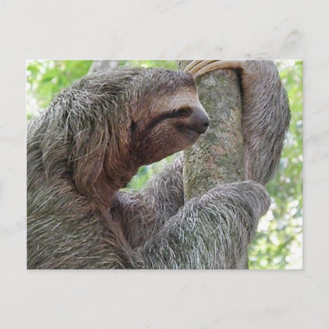 Customize Product Postcard (Front)