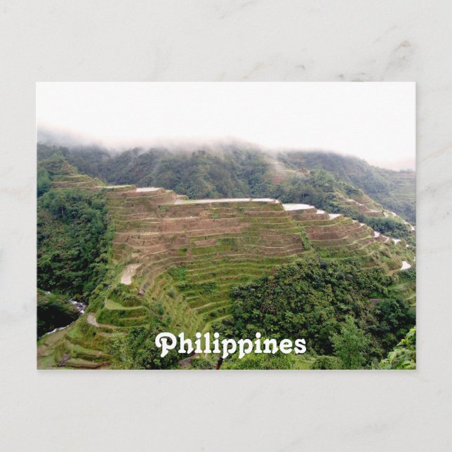 Customize Product Postcard (Front)