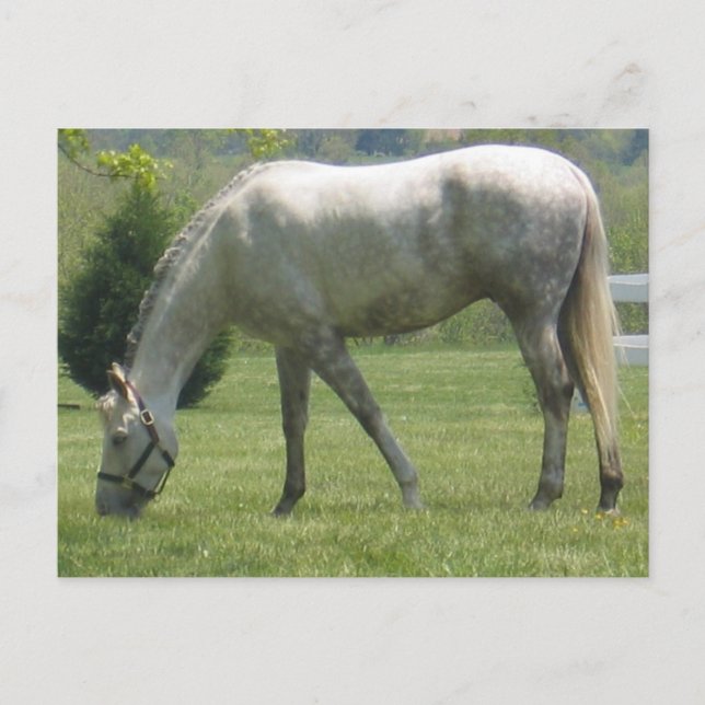 Customize Product Postcard (Front)