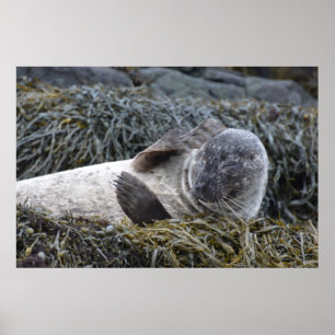 Customize Product Poster