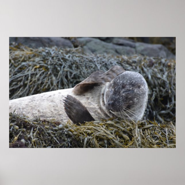 Customize Product Poster (Front)