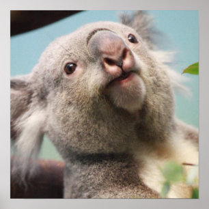 Customize Product Poster