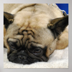 Customize Product Poster