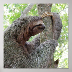 Customize Product Poster